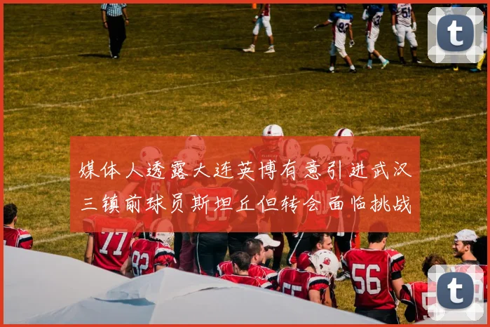 媒体人透露大连英博有意引进武汉三镇前球员斯坦丘但转会面临挑战